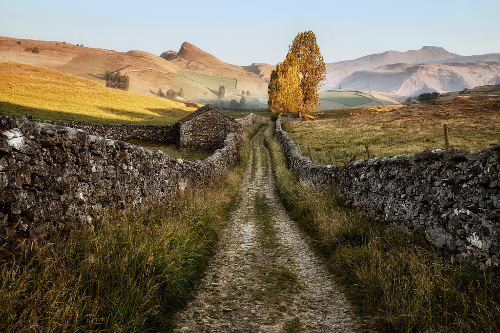 Yorkshire Dales Paths by Lars van de Goor on 500px.com