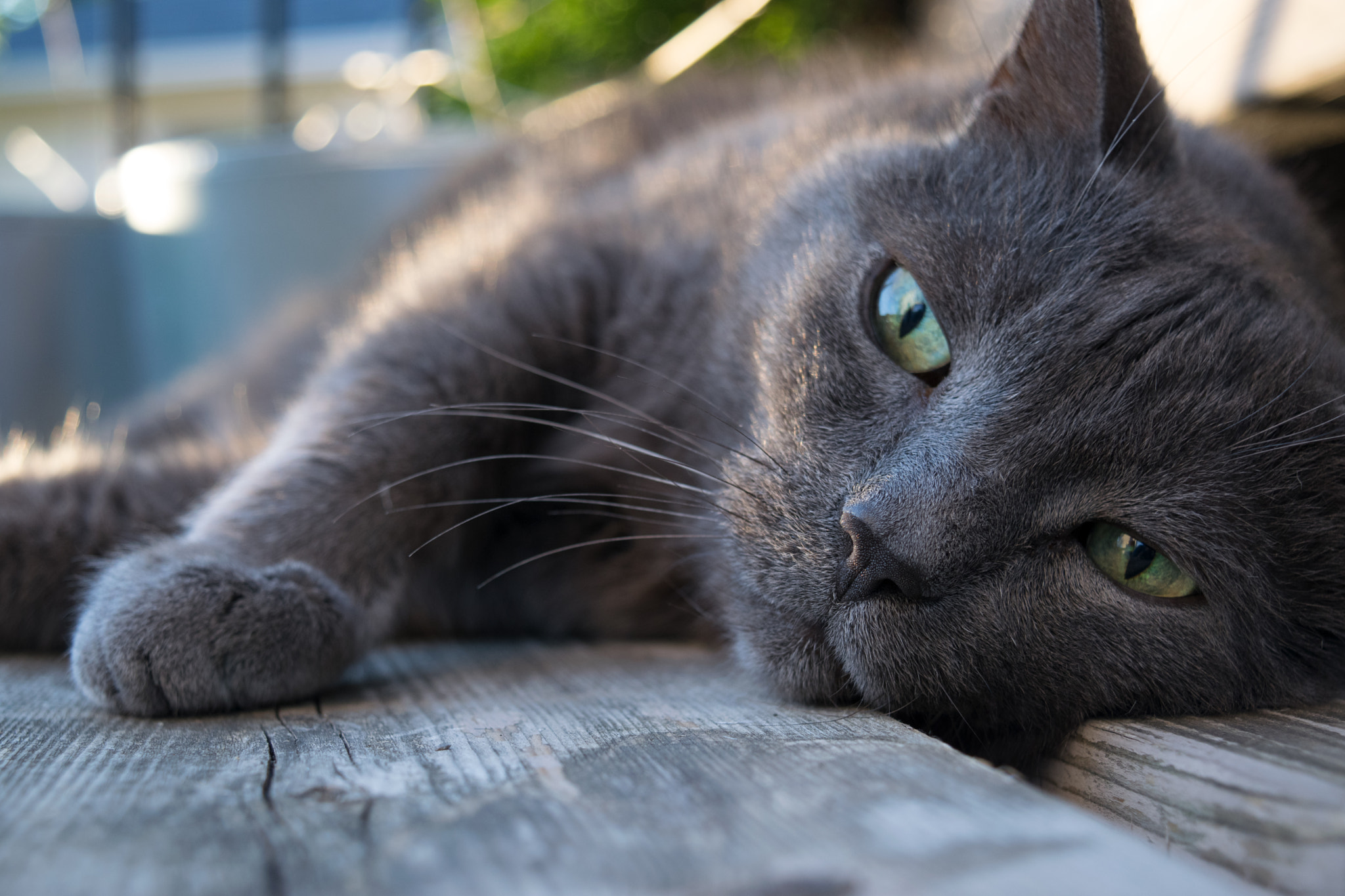 v2?sig=7e3c2e5fb428c56d32ea27e8f6ff136886b6bedf5f1f62806697a62cd0900db3