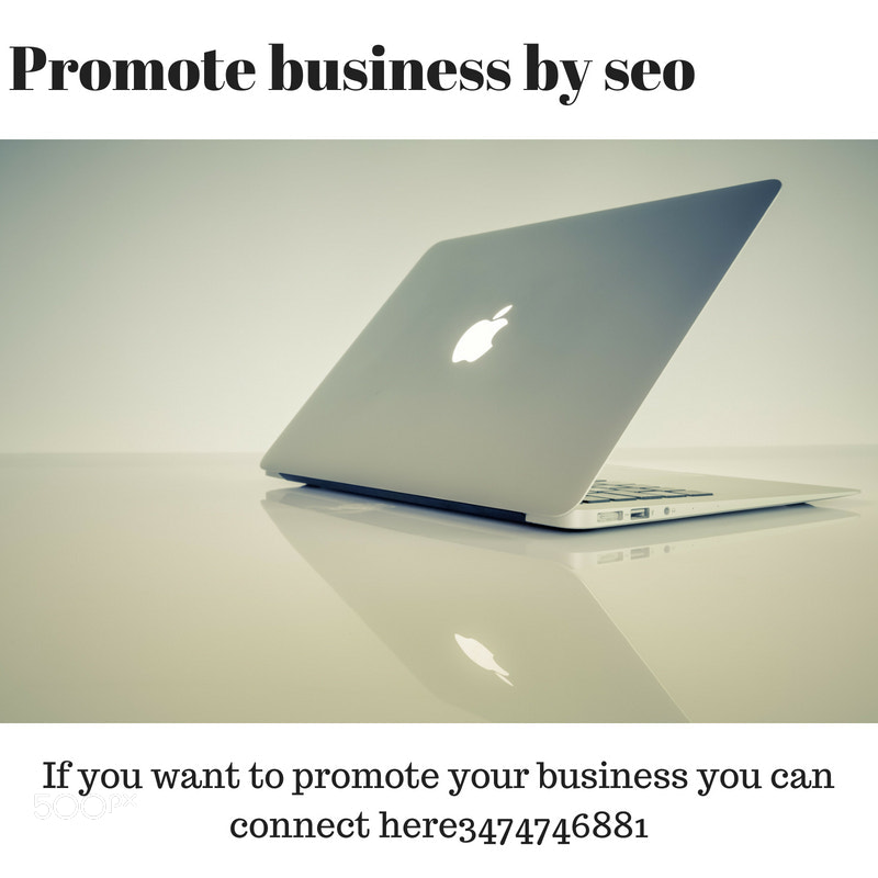 Promote business by seo