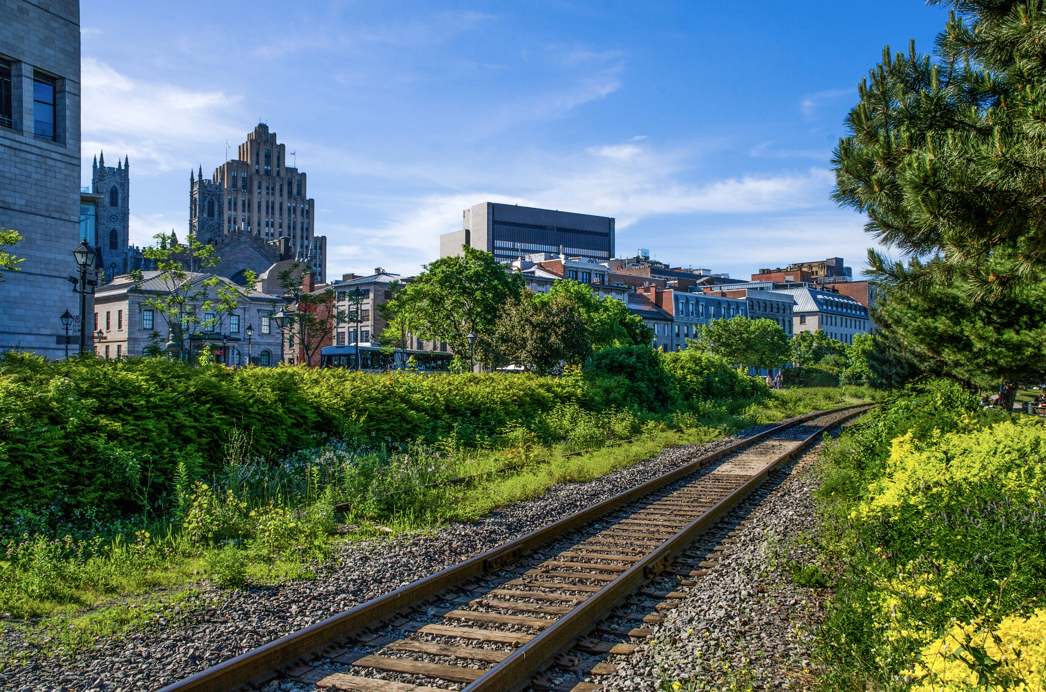 On the Tracks