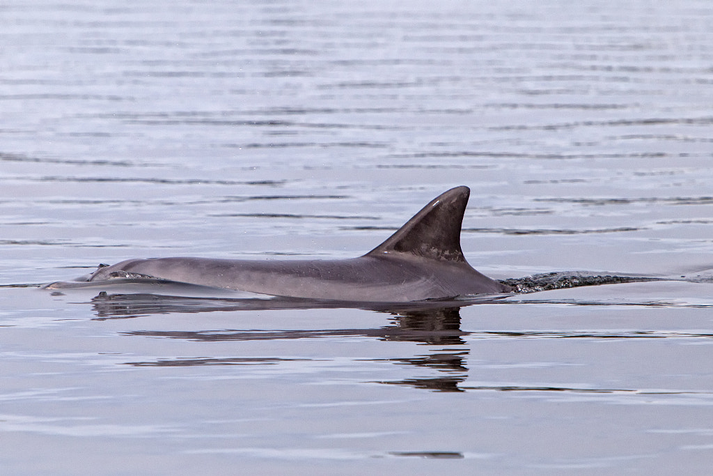 Claremont Foreshore Walk by Paul Amyes on 500px.com
