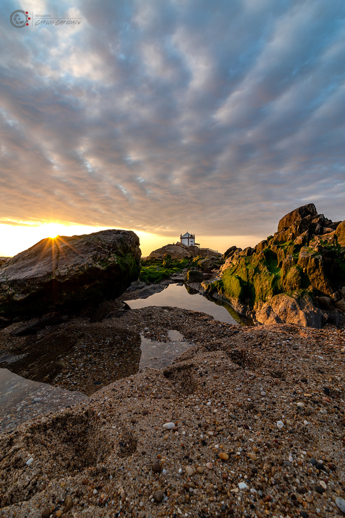 IMAGE: https://drscdn.500px.org/photo/266023113/m%3D900/v2?user_id=2170339&webp=true&sig=833c79e117419a6ef1b4add34a899e38e1f33a7534682350de0a44a29f636f47