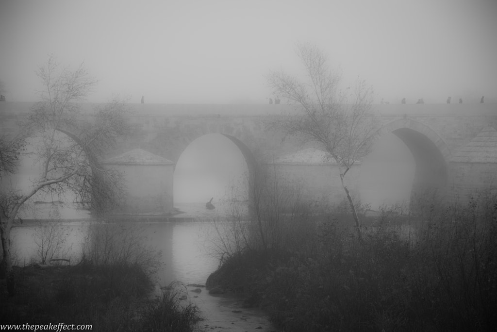 Cordoba by Donato Scarano on 500px.com