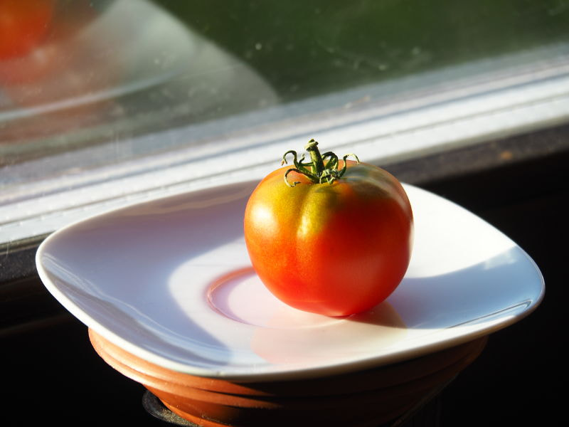  2018,   Kancstc TheEvilOne  500px.com