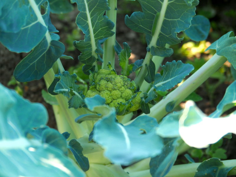  2018,   Kancstc TheEvilOne  500px.com