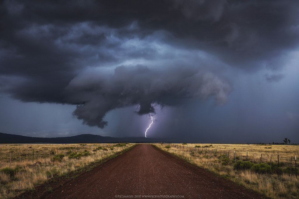 Signals by Peter Coskun Nature Photography  on 500px.com