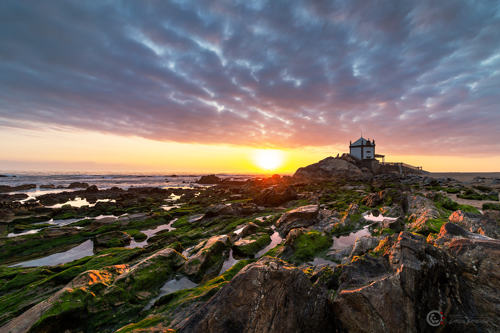 IMAGE: https://drscdn.500px.org/photo/266342735/m%3D900/v2?user_id=2170339&webp=true&sig=579626e1d34b345276c0d5037176cee17fabe7d8d69dc04cf2b88e15a4401d4b