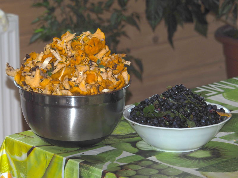  ,   Kancstc TheEvilOne  500px.com