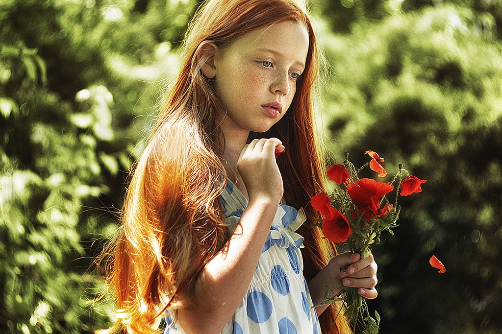 Poppies, автор — Alexandra Bochkareva на 500px.com