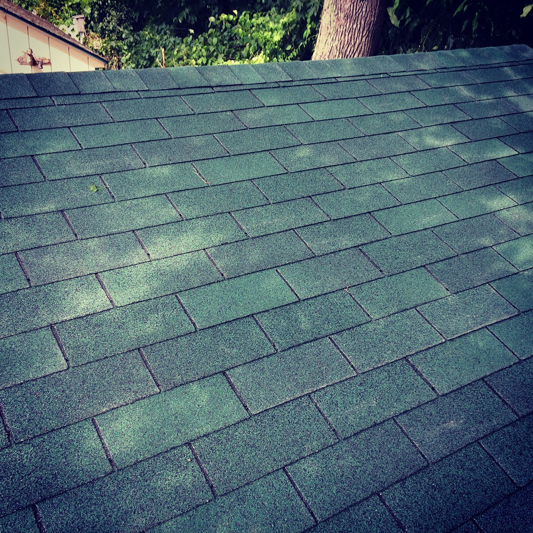 Shingle Roof