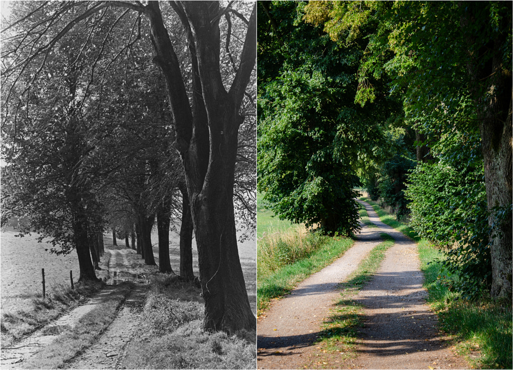 1981 - 2018 von dirk derbaum auf 500px.com