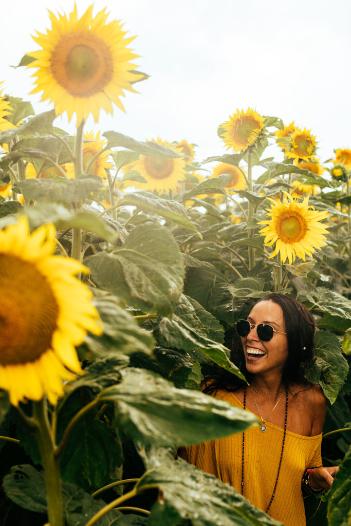 Tournesol by Anthony Rayburn on 500px.com