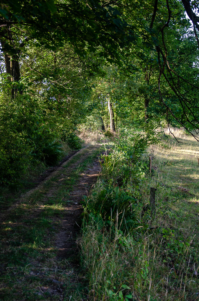 trail von dirk derbaum auf 500px.com
