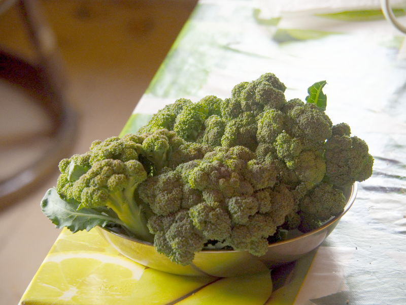  2018,   Kancstc TheEvilOne  500px.com