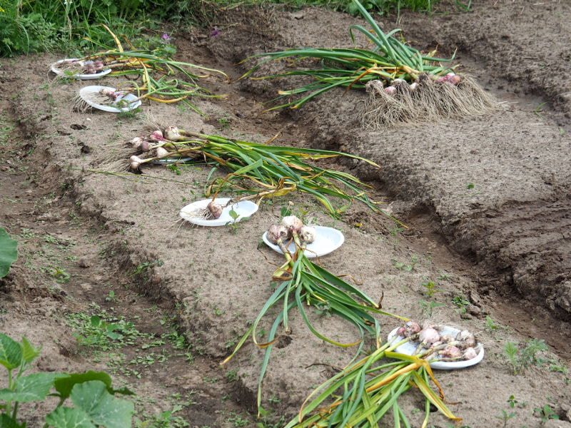  2018,   Kancstc TheEvilOne  500px.com