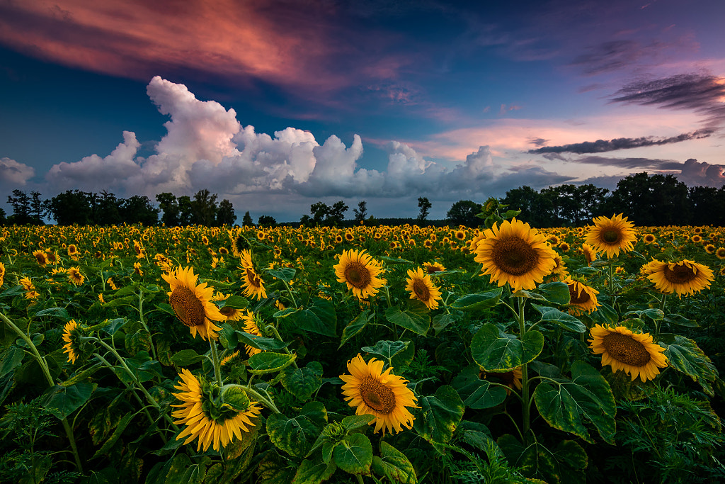 Smell of thunderstorm by Anton Petrus on 500px.com