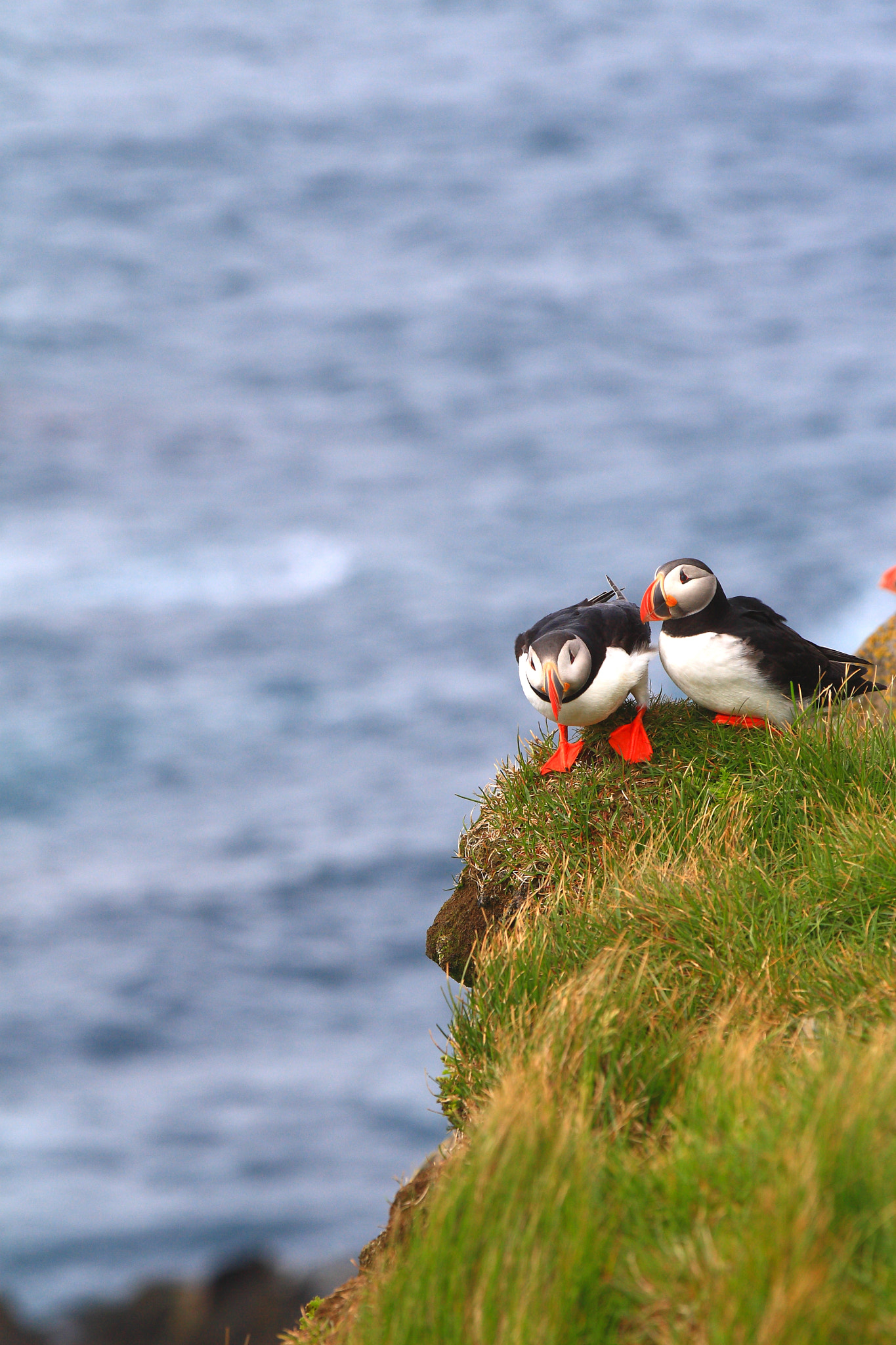 v2?sig=eb4cd8dfeb1649edfd0727b832ce42695e452613dcee5855d6d3e6cbefdee4a0