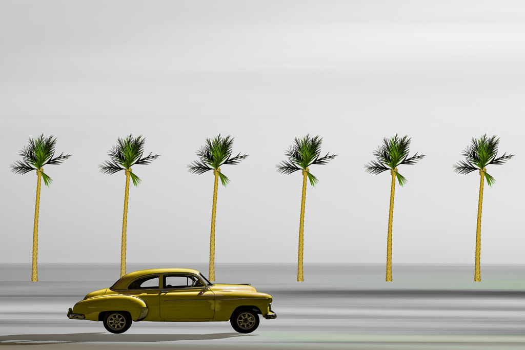 Car and palms by Inge Schuster on 500px.com