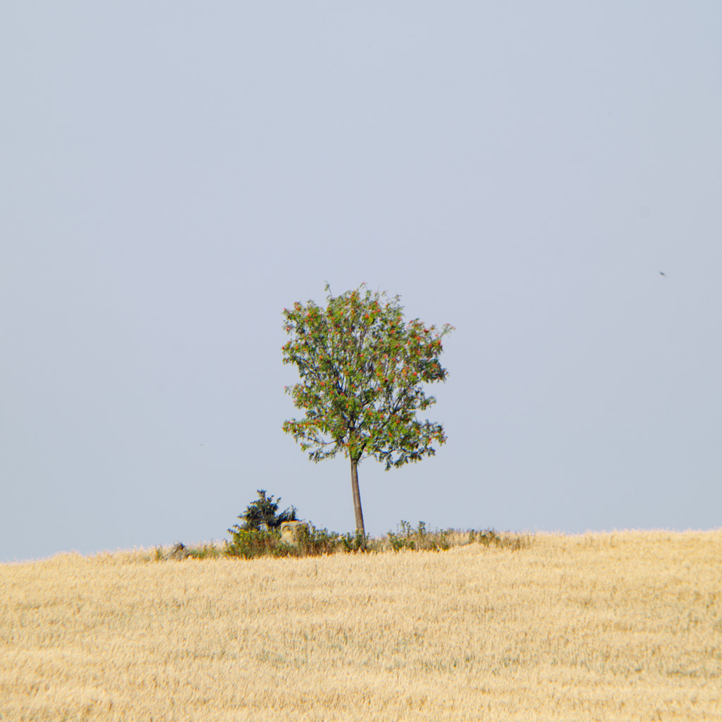 alone von dirk derbaum auf 500px.com