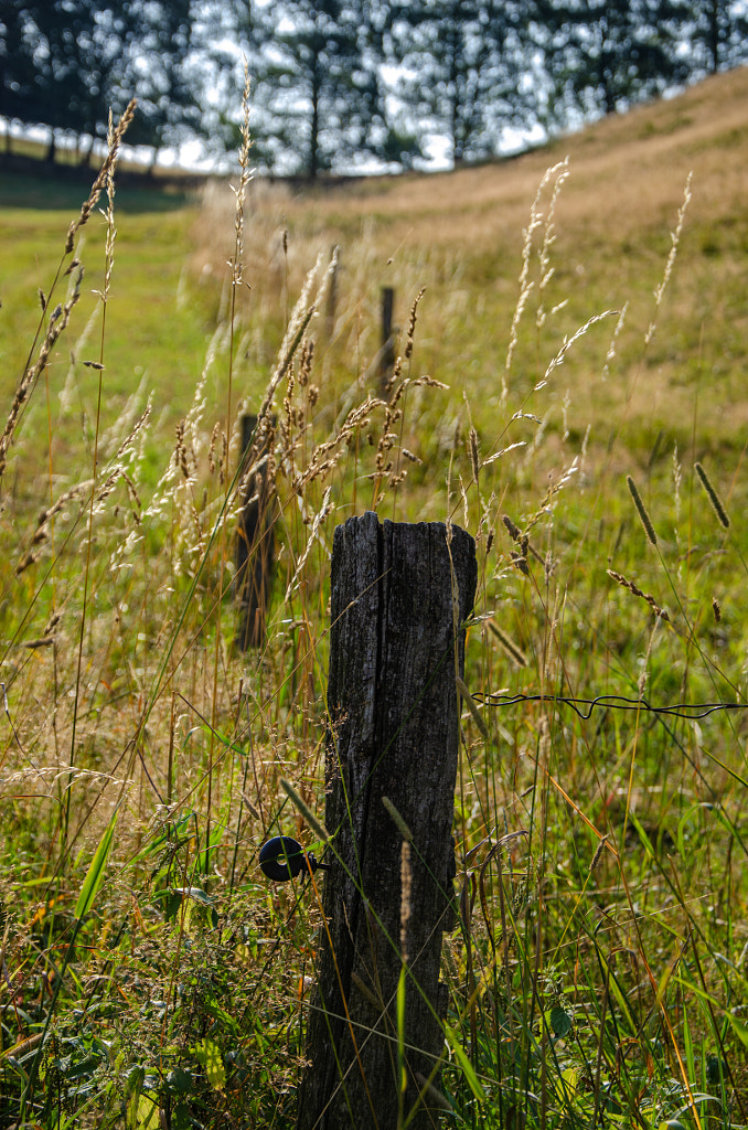 fenz von dirk derbaum auf 500px.com