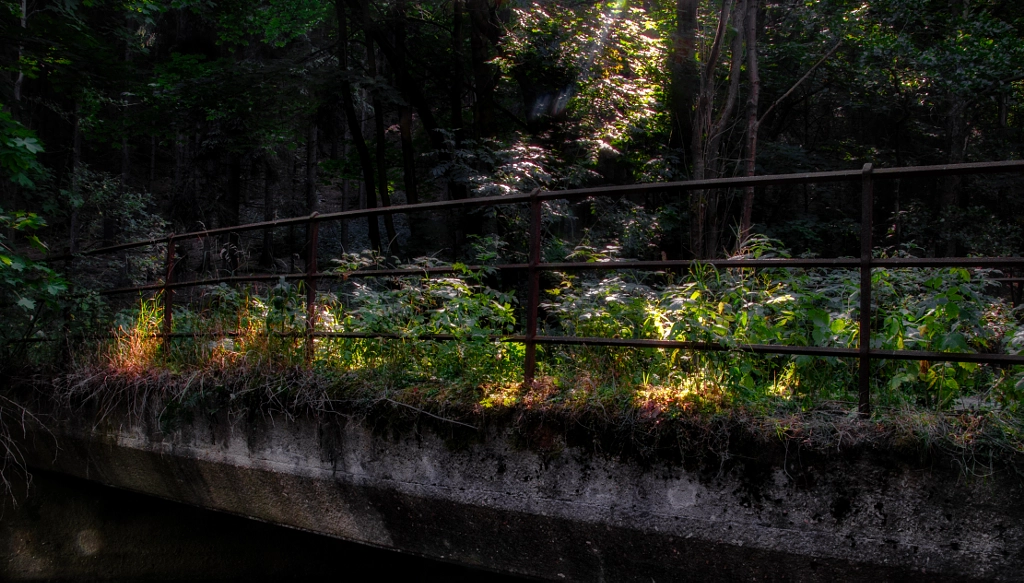gottleubabrücke von dirk derbaum auf 500px.com