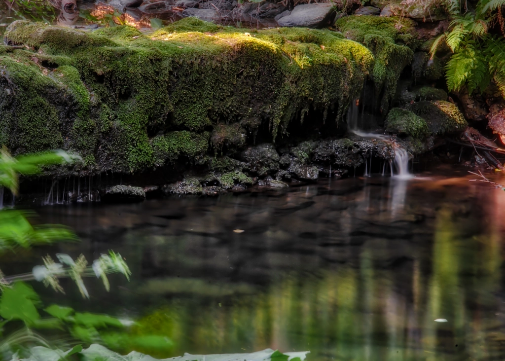 wehr von dirk derbaum auf 500px.com