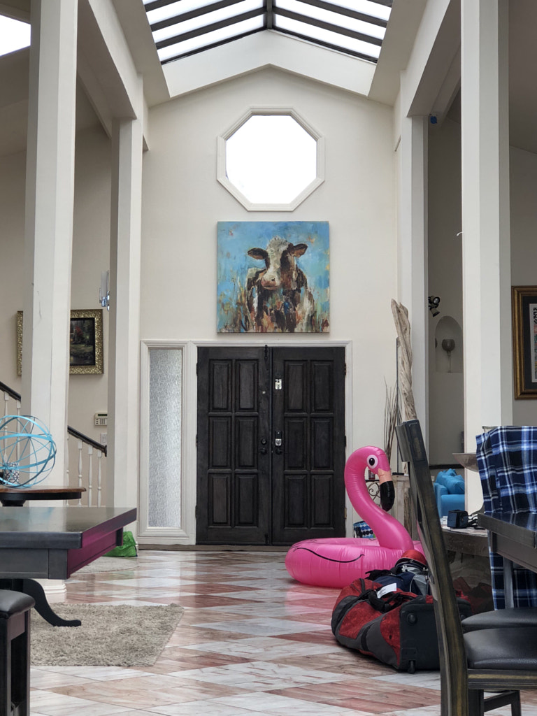 Untitled by Jacqueline and Kevin Reape on 500px.com