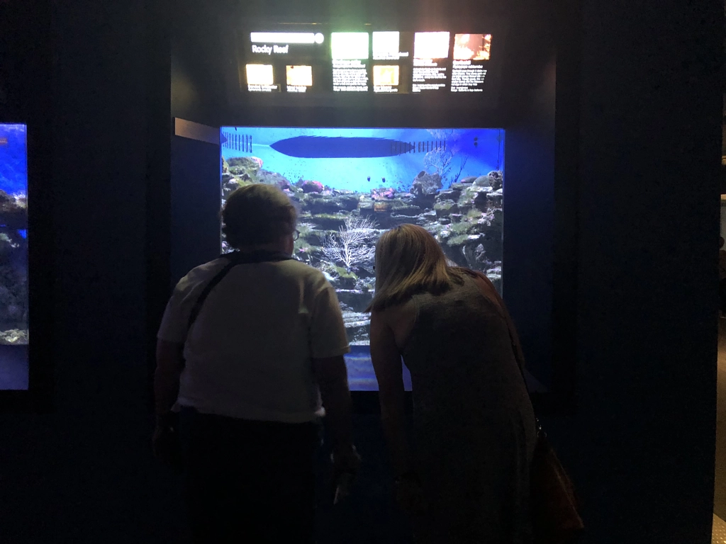 Untitled by Jacqueline and Kevin Reape on 500px.com