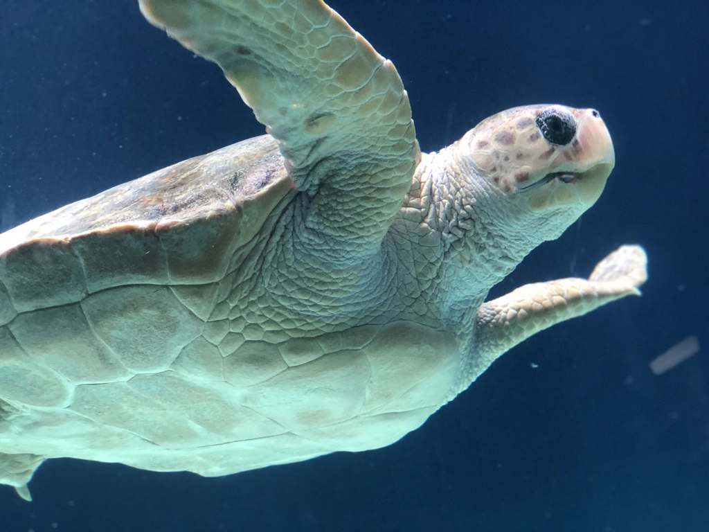 Untitled by Jacqueline and Kevin Reape on 500px.com