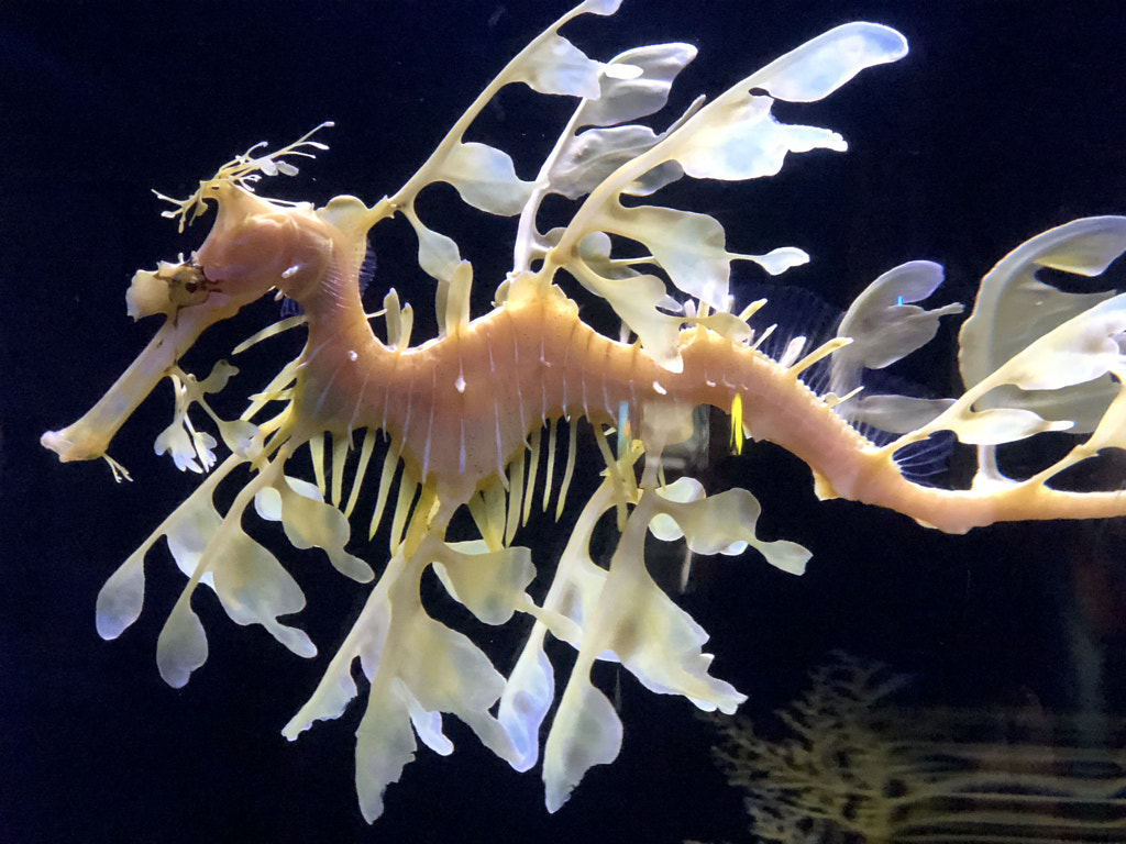 Untitled by Jacqueline and Kevin Reape on 500px.com