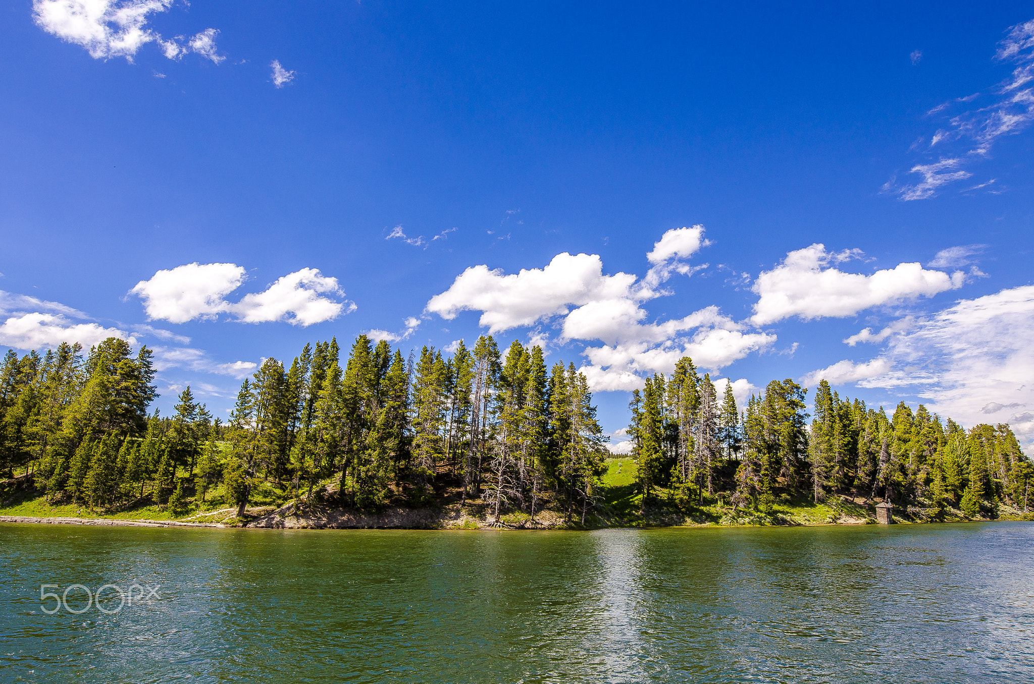 Yellowstone national park