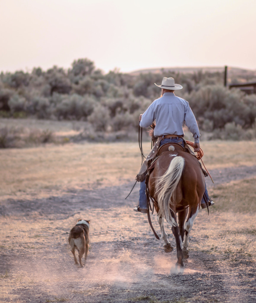 Idaho Cowboy by Kevin Stewart on 500px.com