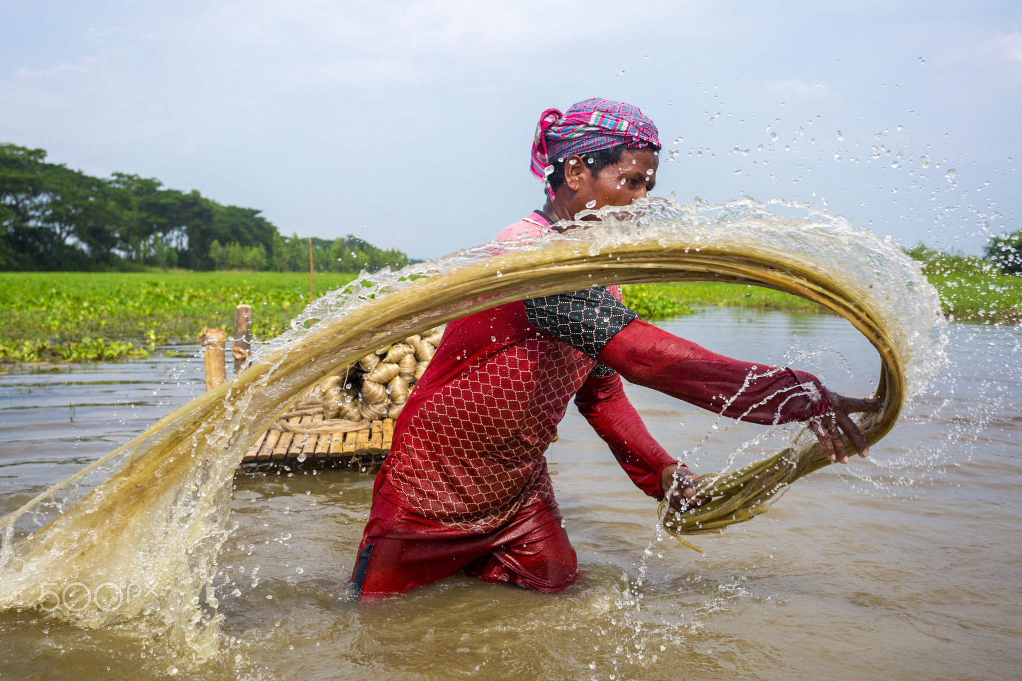 Jute Washing