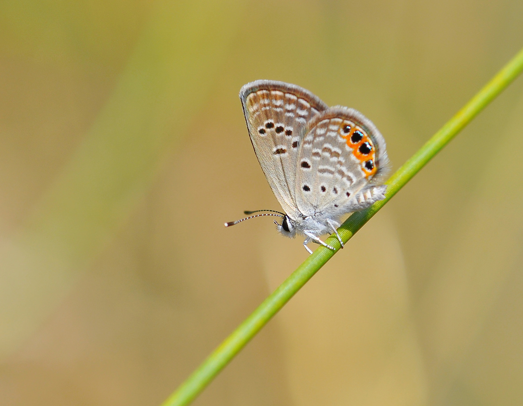tugba kiper (t_kiper) Photos / 500px