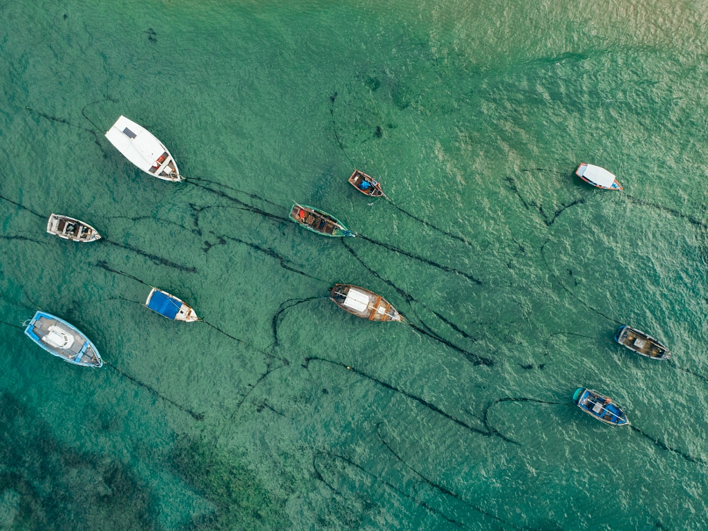 DJI by Felipe Dias on 500px.com