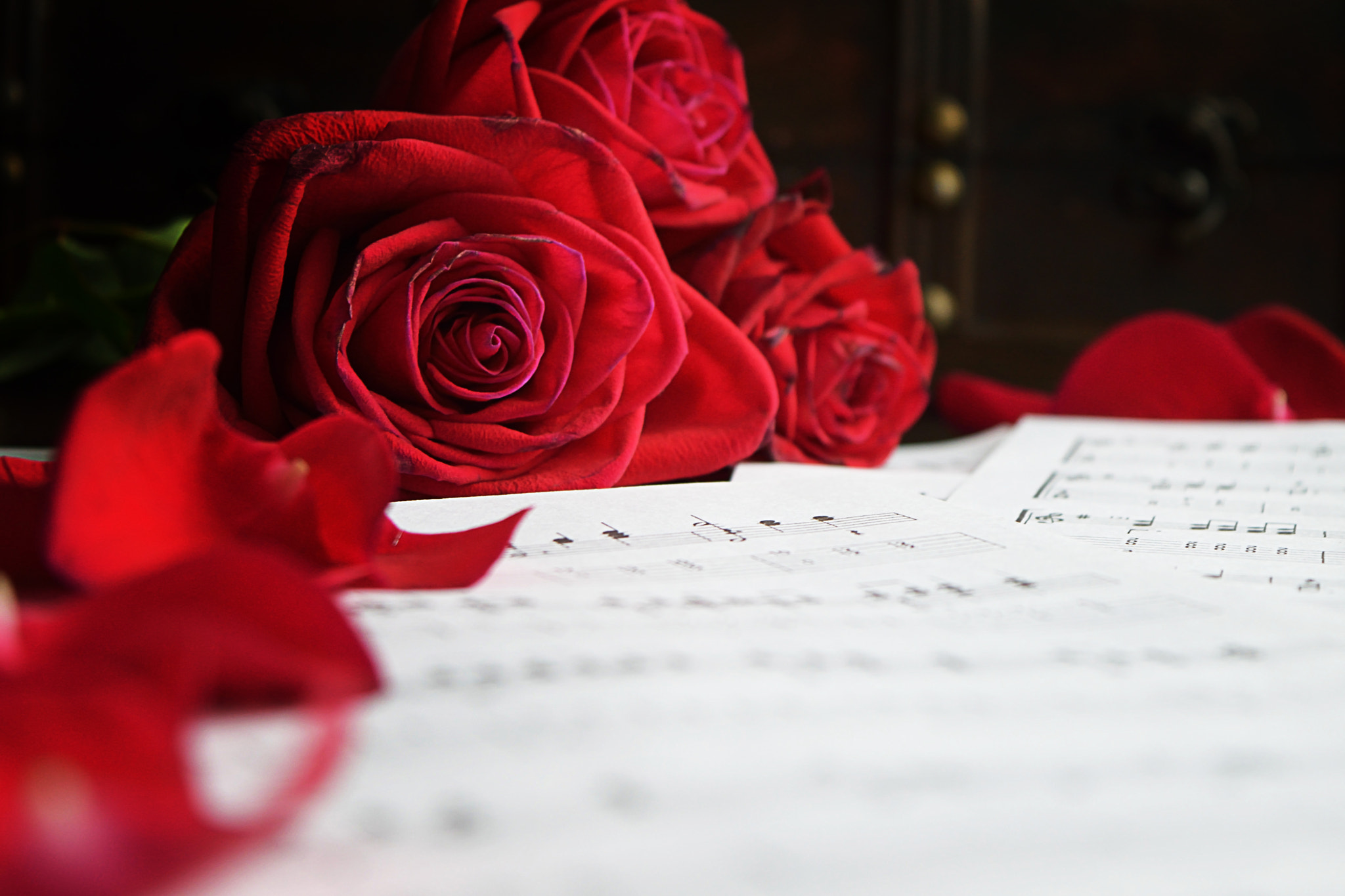 v2?sig=3a1dd7c37f5758cdb3541ad1a556a849a418c9573fbdfde61e9d7915a0e9f2eb