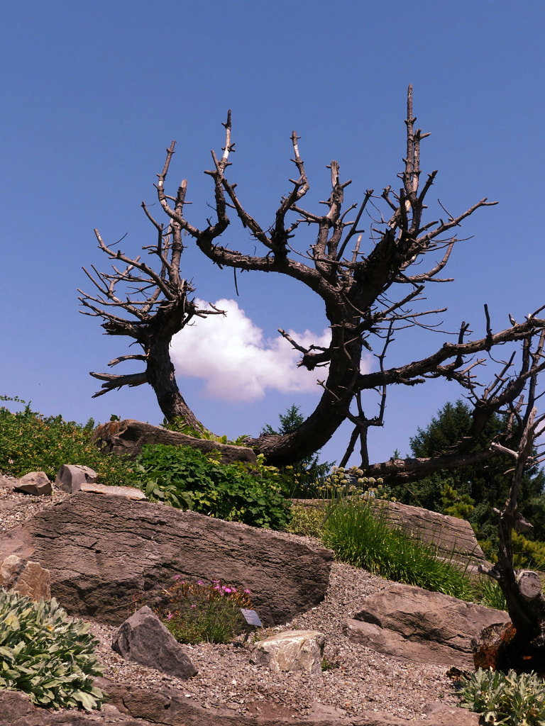 Vie et mort V2?webp=true&sig=4b338f1f6ae0a692aa5e216d69baba3e2c4178bb39f0f67022ab0bedcf7d8f99