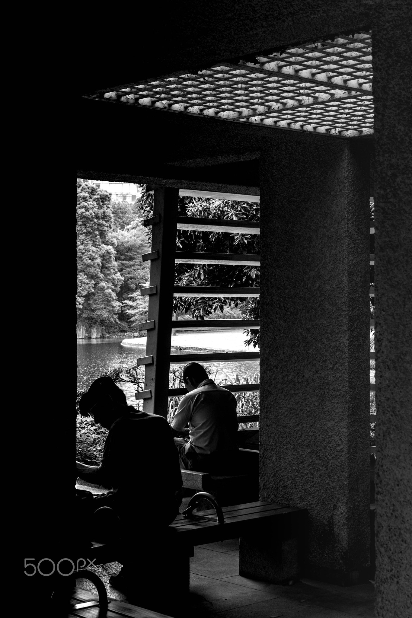 © Zoltan Papdi 2018-3985