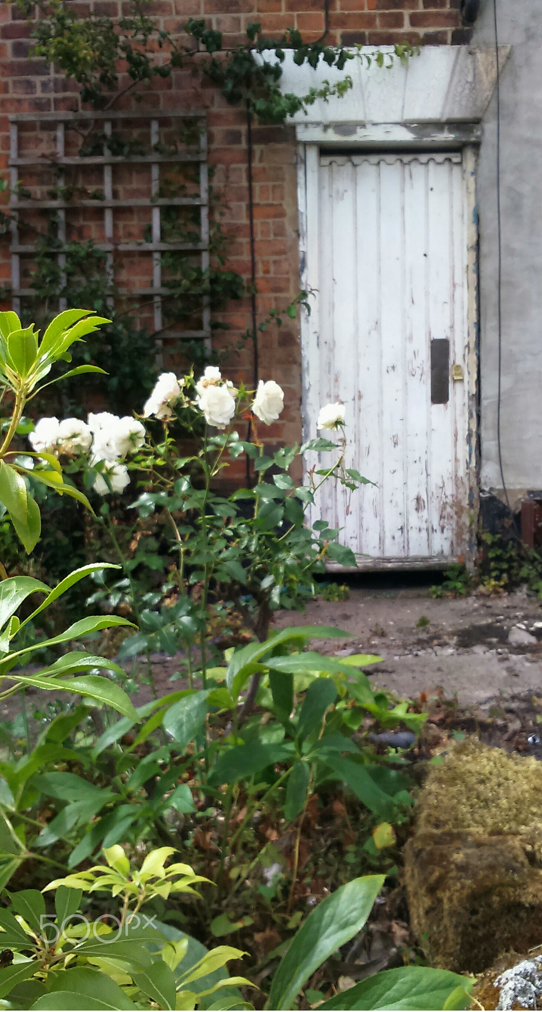 The weathered cottage door