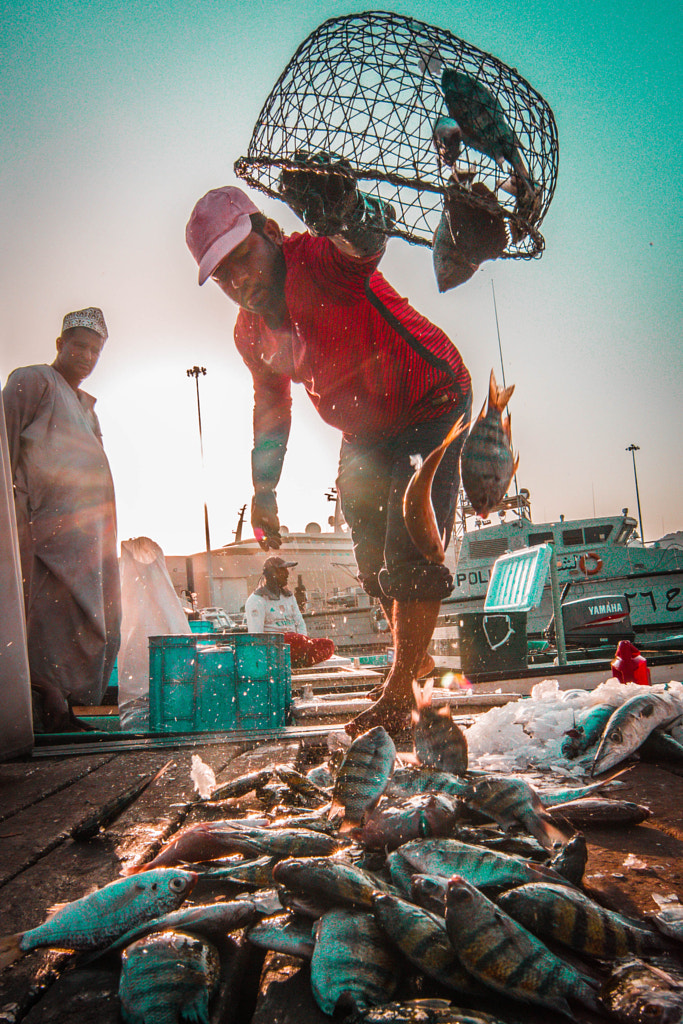 Collecting Fresh Fish by Sheikh Haris on 500px.com