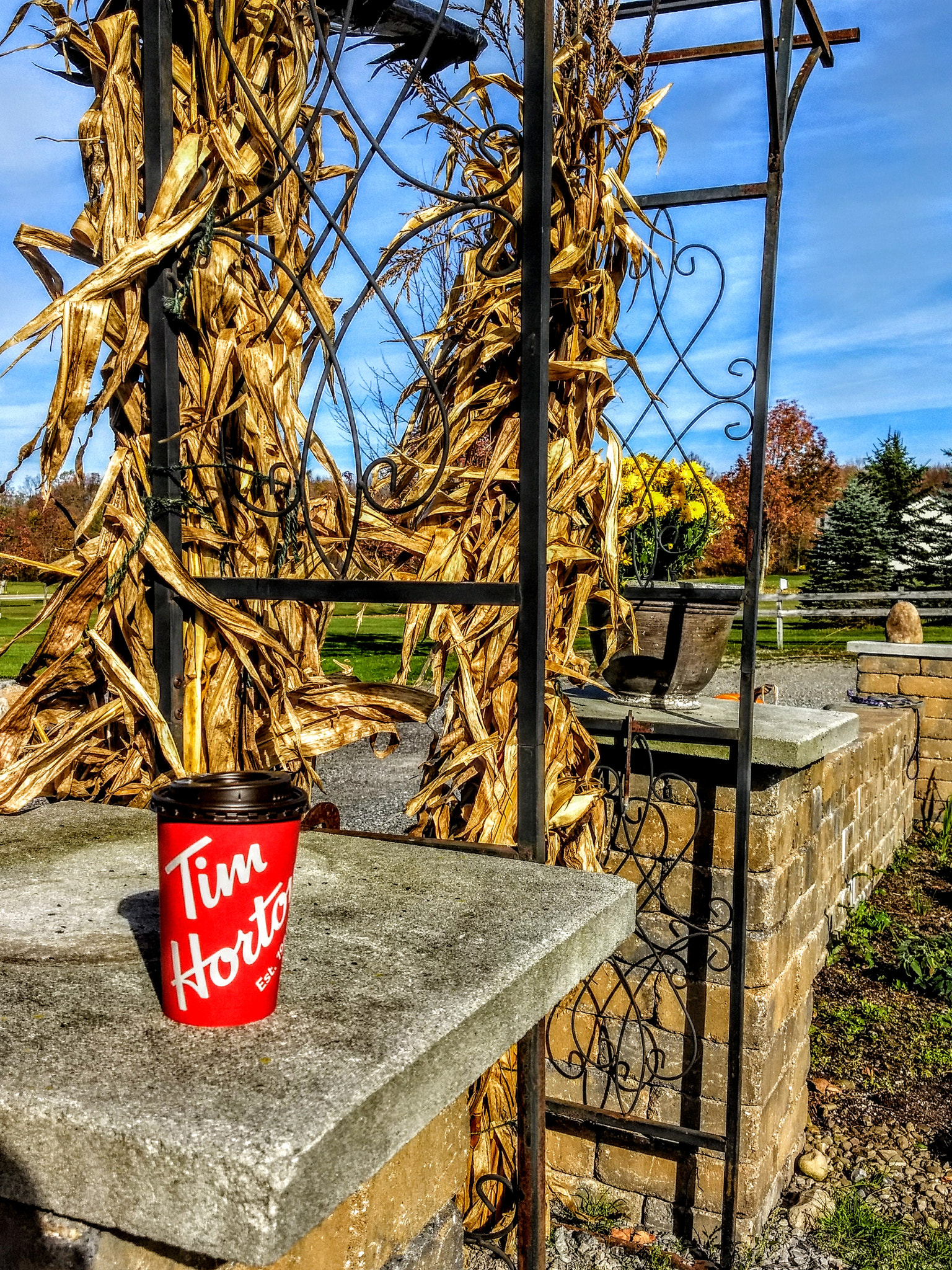 Fall + Tim Hortons. Name a better duo.