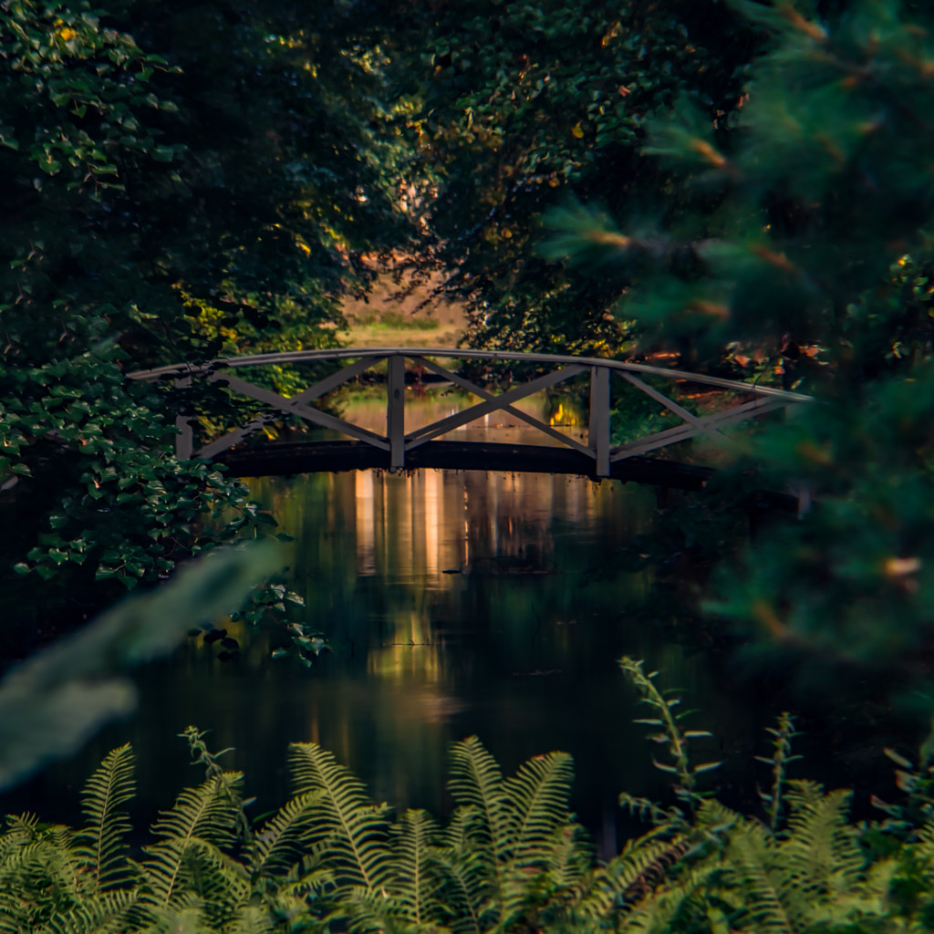 bridge von dirk derbaum auf 500px.com