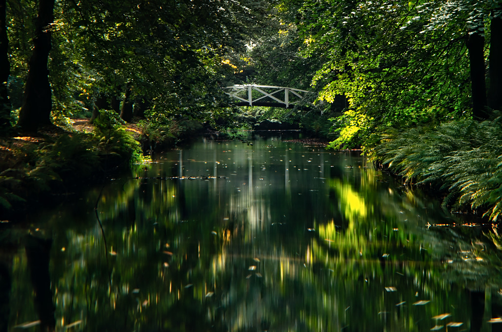 hidden von dirk derbaum auf 500px.com