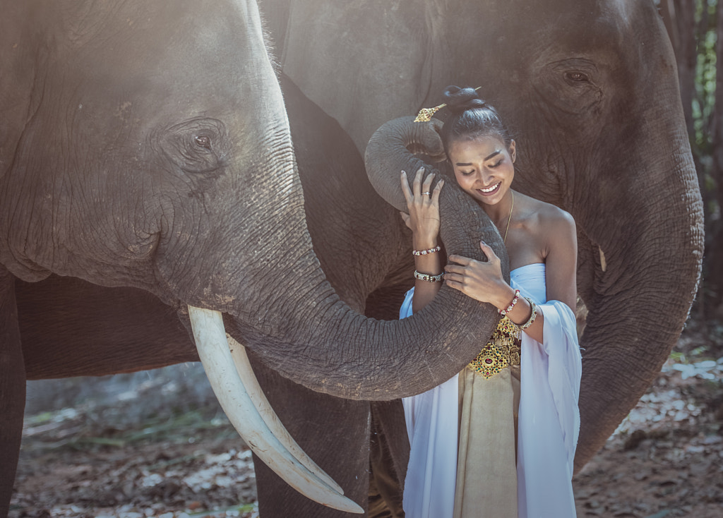 Thai silk traditional dresses with elephant,, автор — Sasin Tipchai на 500px.com