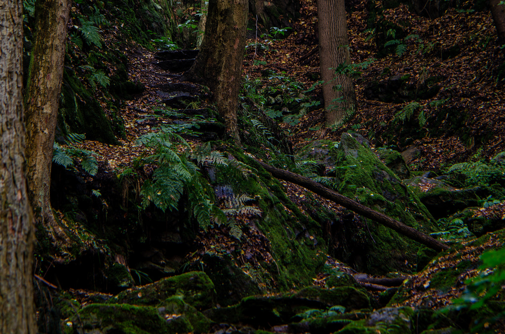 klamm I von dirk derbaum auf 500px.com