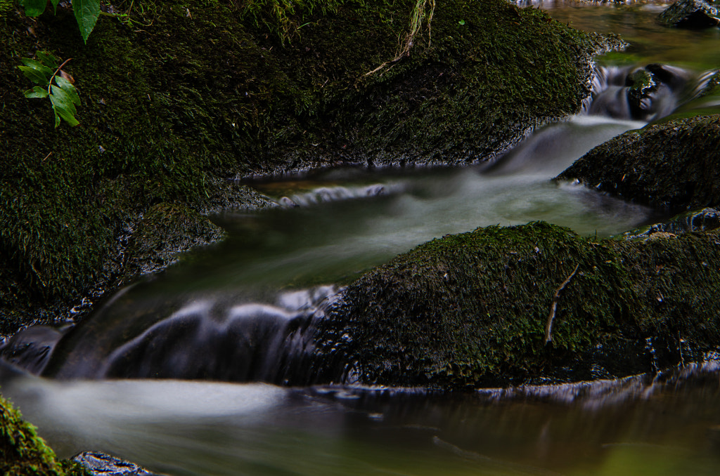 creek III von dirk derbaum auf 500px.com