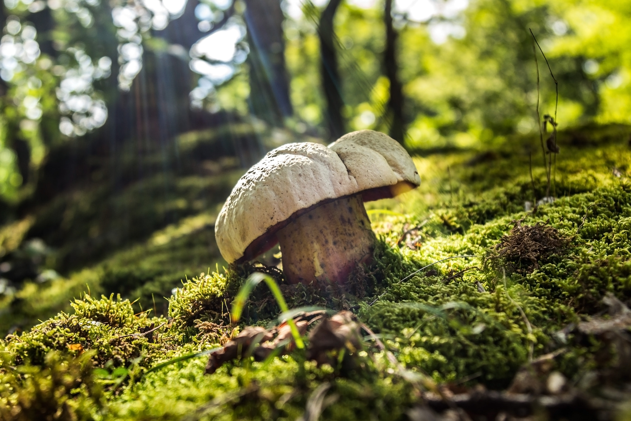 v2?sig=50021cd0ef7cfd2735d208a29c8792fed1f976e00df351ba5c8213887359ebe8