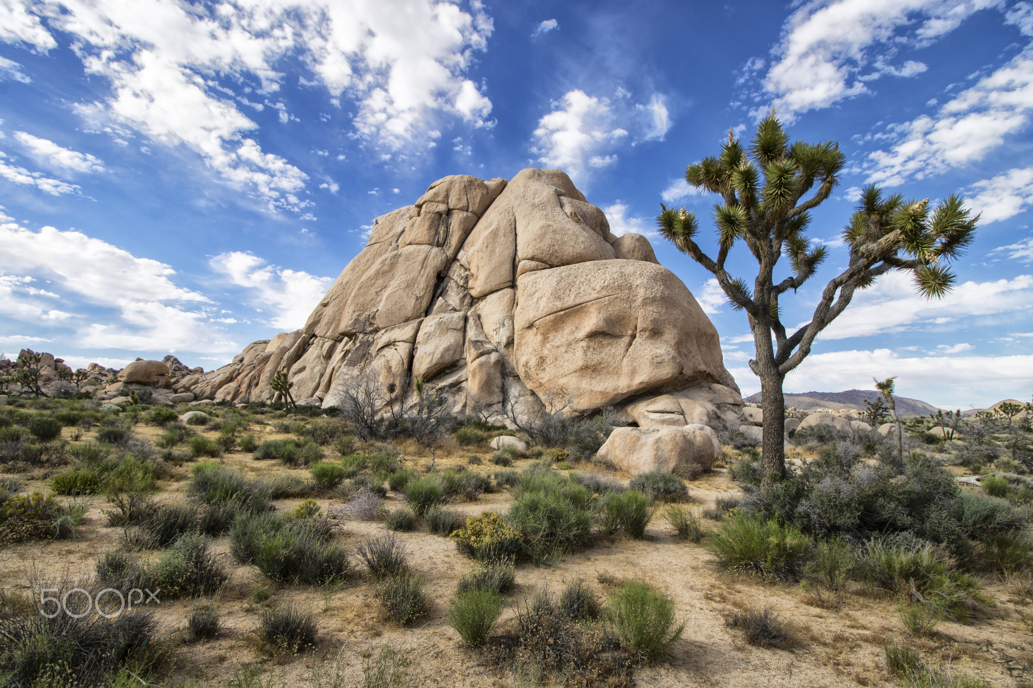 Vista: Hidden Valley | Joshua Tree NP