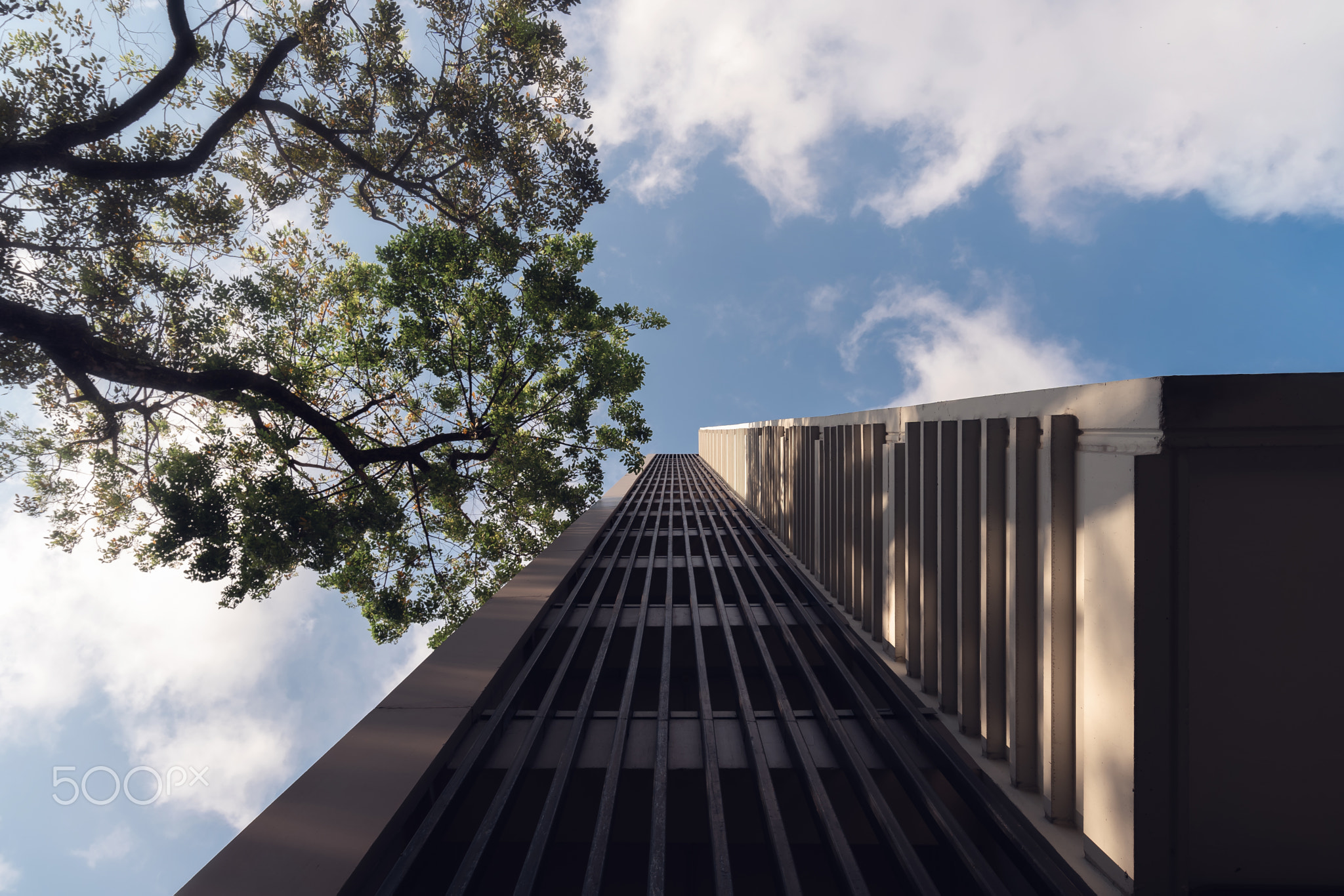 "Chulalongkorn University In Bangkok"