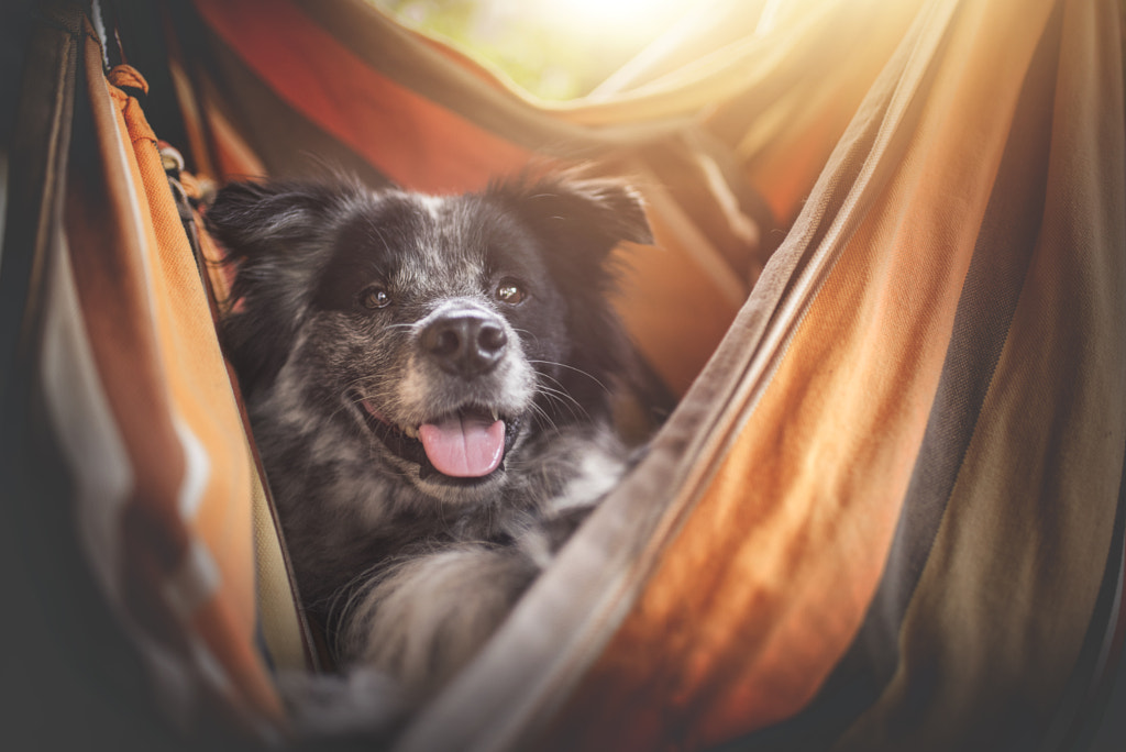 . smiling Yuri by Anne Geier on 500px.com